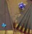 PL BIG BUTTA SAREE