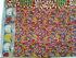KALAMKARI PRINTED COTTON SAREE