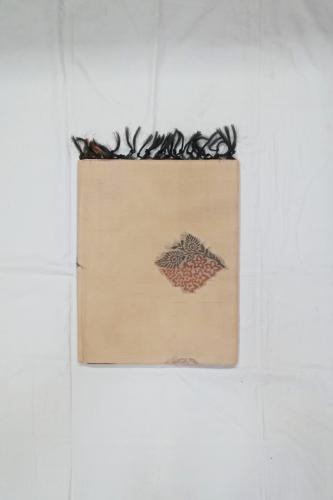 SAREES NEGAMAM WITH BLOUSE