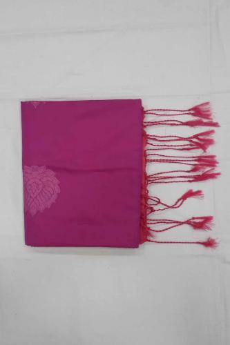 PL Softee Saree