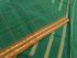DINDIGUL NAVAGRAHA COLLECTION COTTON SAREE SDEN